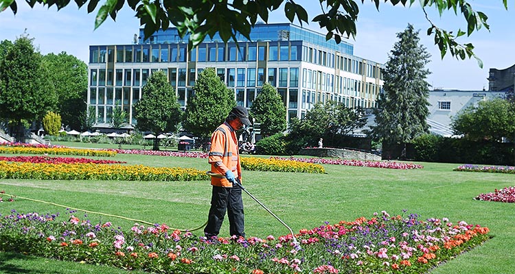 a gardener watering a flowerbed in a park or garden