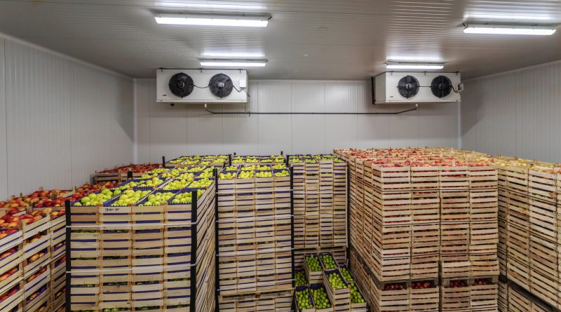 Cold storage room filled with stacked wooden crates of red and green apples, with industrial refrigeration units mounted on the walls and overhead fluorescent lighting.