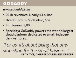 GoDaddy info box