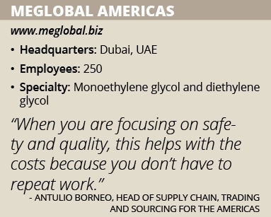 meglobalinfobox copy